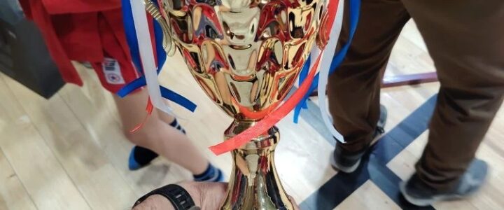 Участие наших спортсменов в первом региональном турнире «Самбо в школу» м.о.Чехов